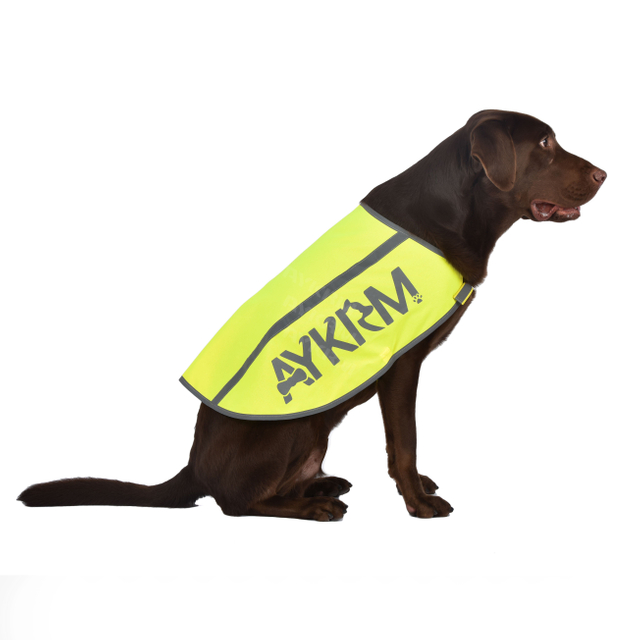 Aykrm Reflective Dog Vest. Hi-Visibility, Fluorescent Yellow Orange Dog Vest （AP0-013）